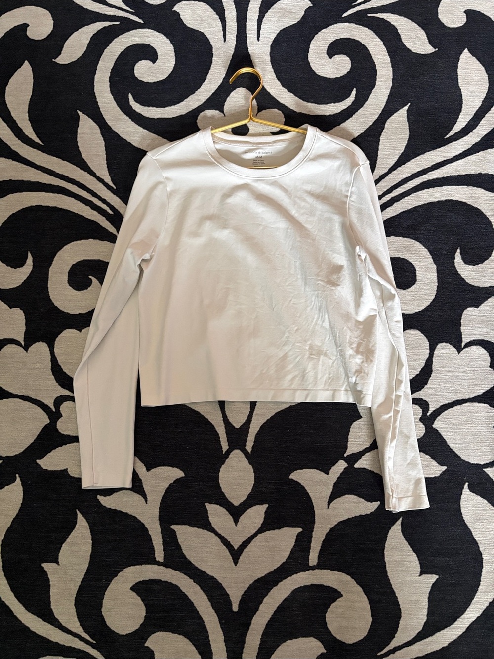 Cropped Long Sleeve Crewneck Top - White